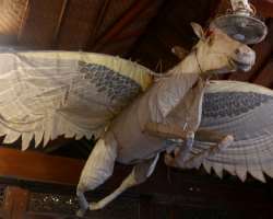 You can see a variety of kites at the museum ranging from dry leave kites used by the fisherman to huge dragon kites.